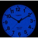 Ceas de mana Timex Ironman TW5K88100