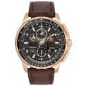 Ceas barbatesc Citizen Skyhawk A-T Editie Limitata JY8056-04E